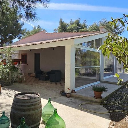B&B Montedarena Pulsano Dış mekan fotoğraf