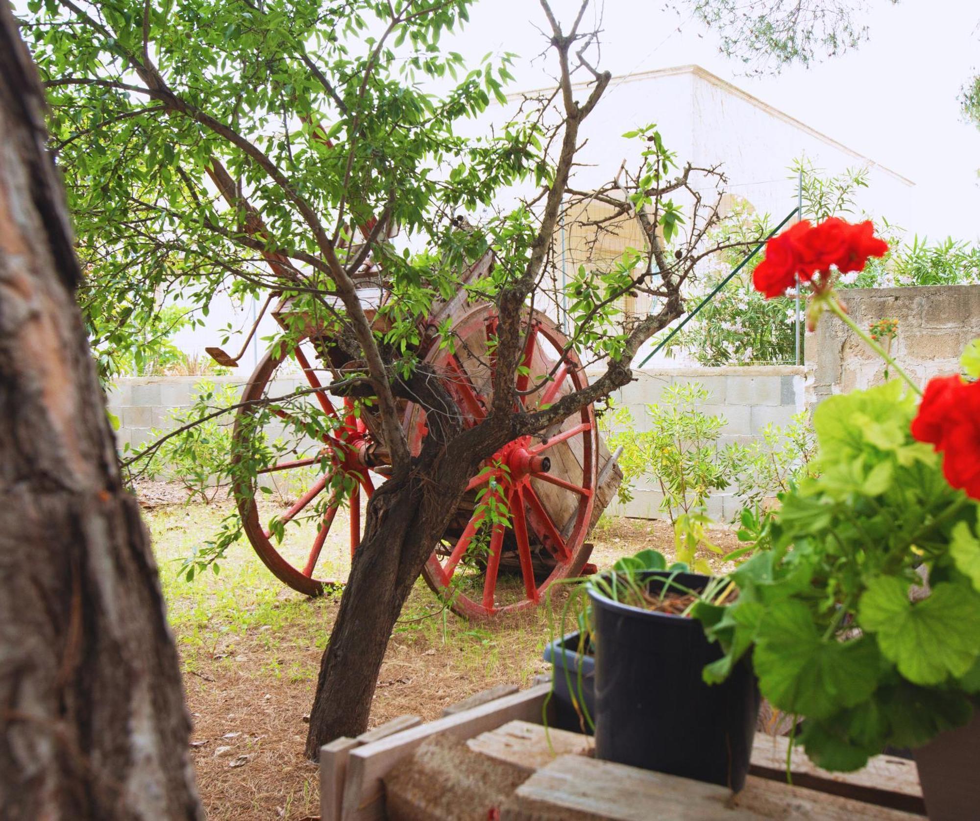 B&B Montedarena Pulsano Dış mekan fotoğraf