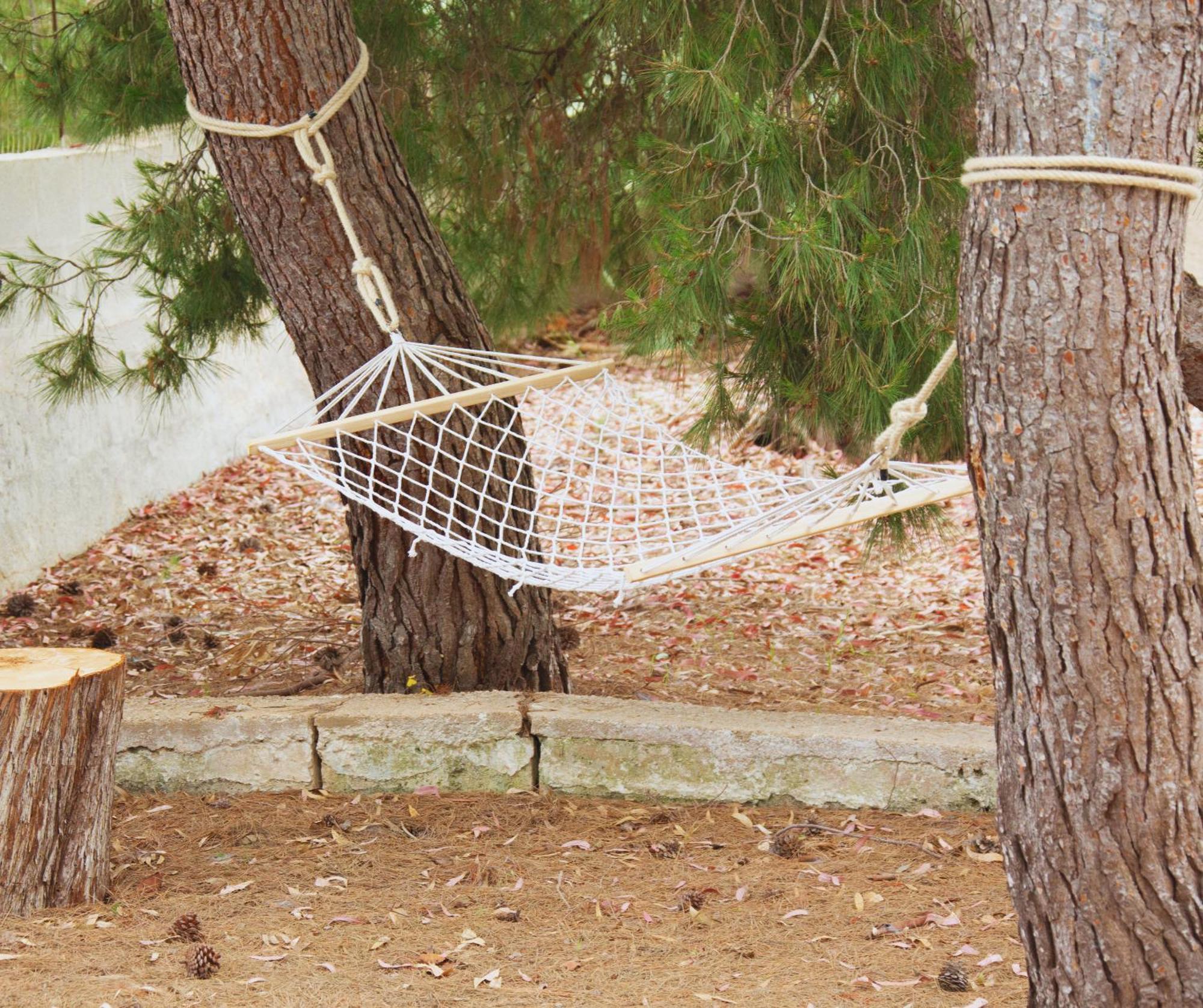 B&B Montedarena Pulsano Dış mekan fotoğraf